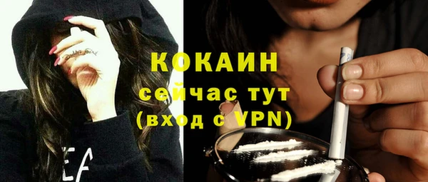 прущие грибы Михайловск