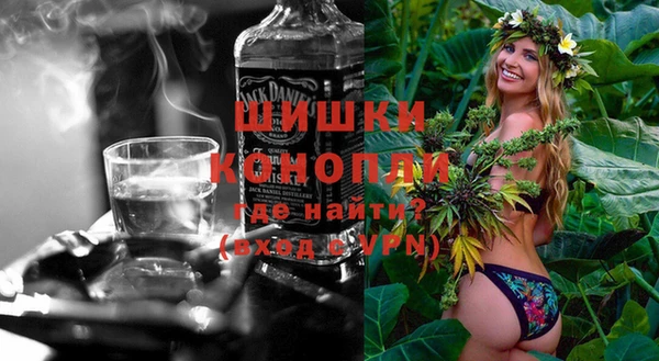 прущие грибы Михайловск