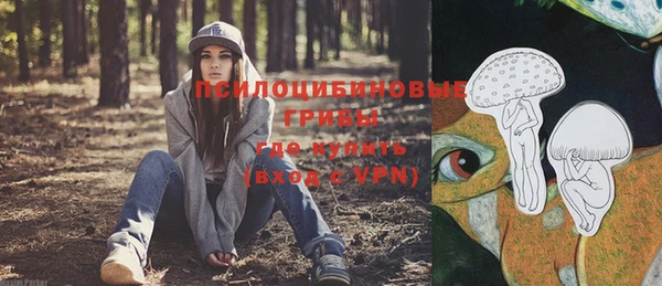 прущие грибы Михайловск