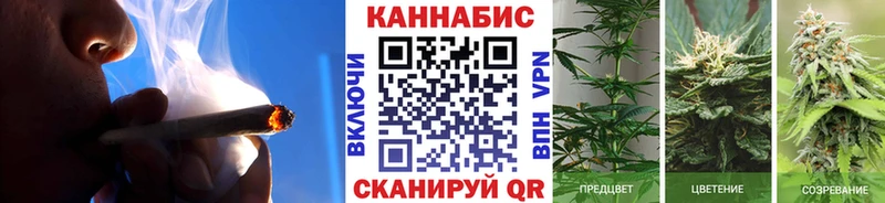 как найти закладки  Нижний Ломов  Бошки марихуана OG Kush 